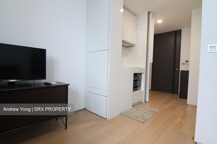 Skysuites@Anson (D2), Apartment #233888271